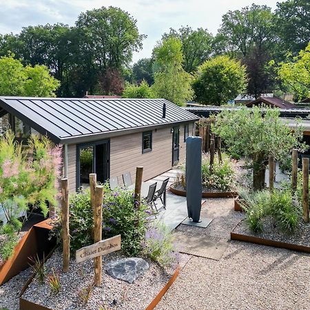 Modern Ingericht Chalet Op Groen Park Op De Veluwe Epe Exteriör bild