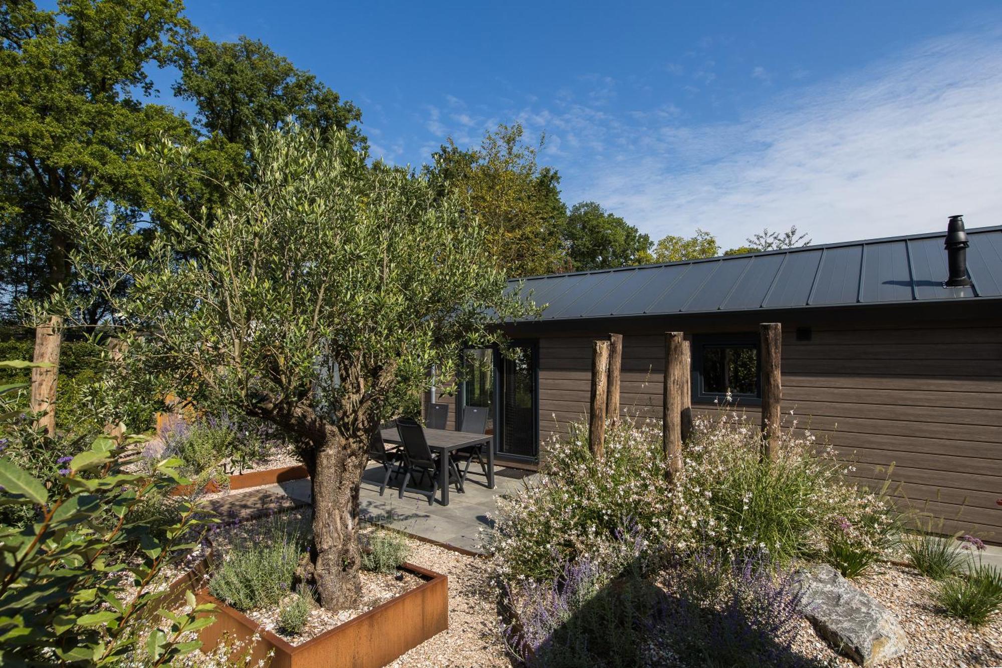 Modern Ingericht Chalet Op Groen Park Op De Veluwe Epe Exteriör bild
