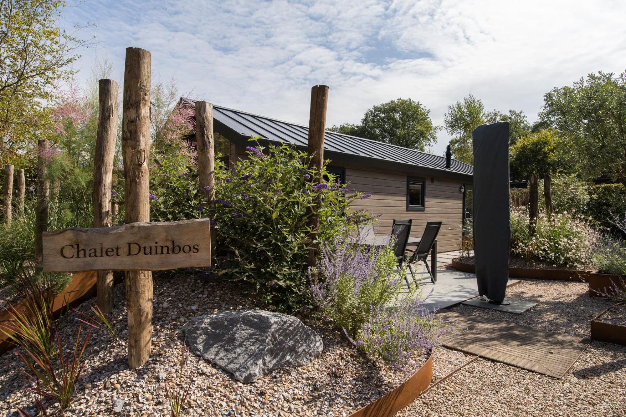 Modern Ingericht Chalet Op Groen Park Op De Veluwe Epe Exteriör bild