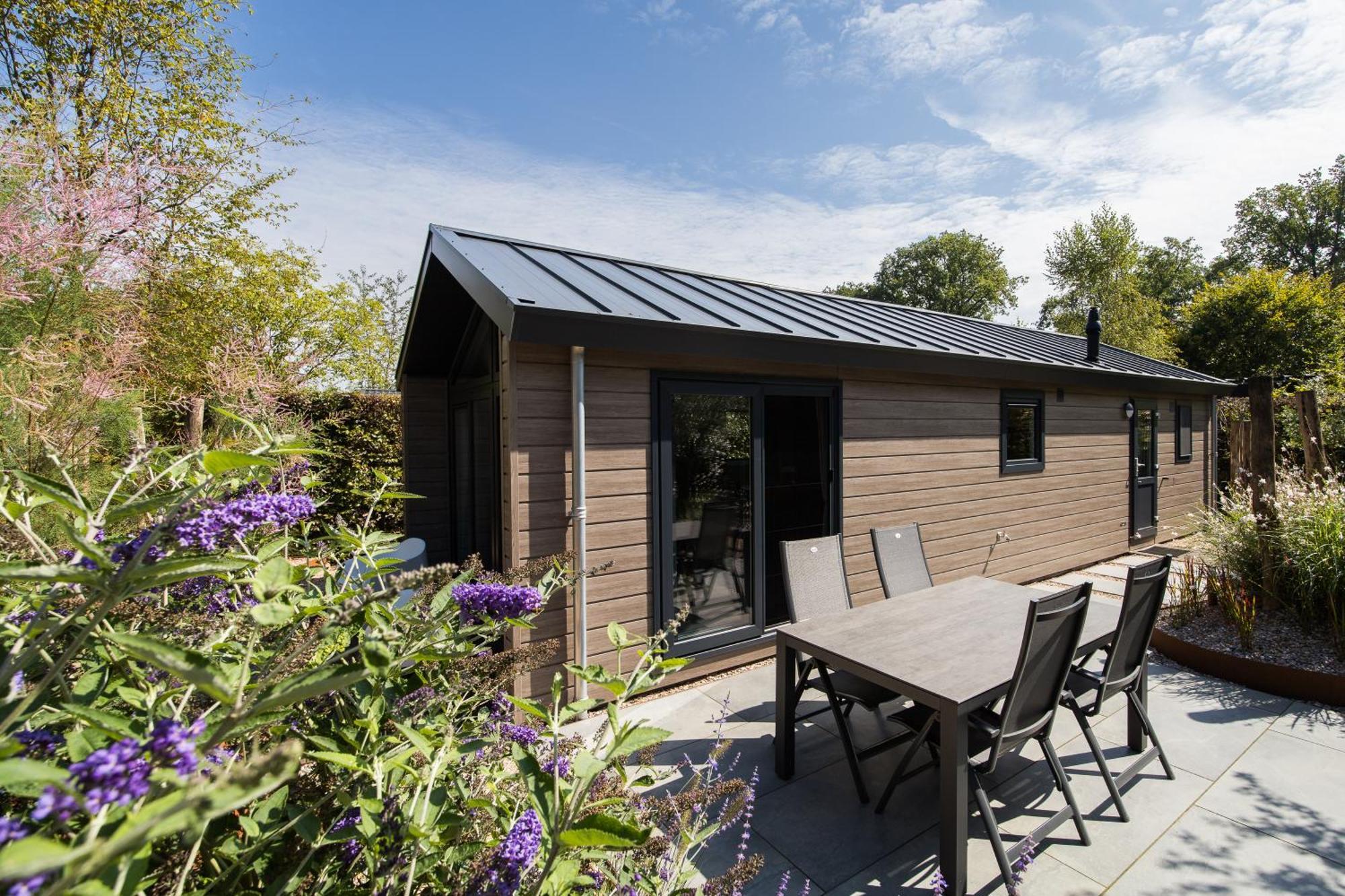 Modern Ingericht Chalet Op Groen Park Op De Veluwe Epe Exteriör bild