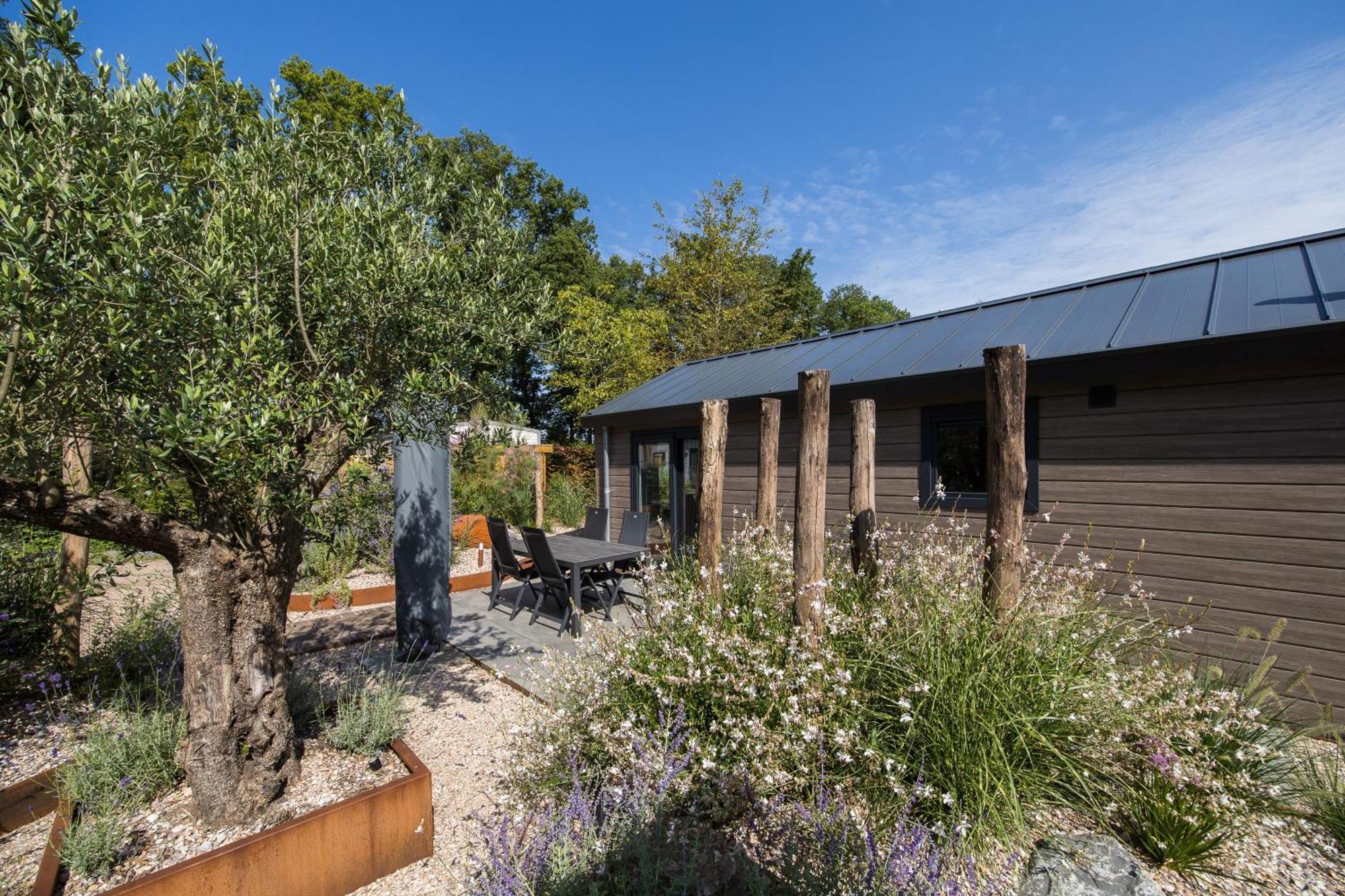 Modern Ingericht Chalet Op Groen Park Op De Veluwe Epe Exteriör bild