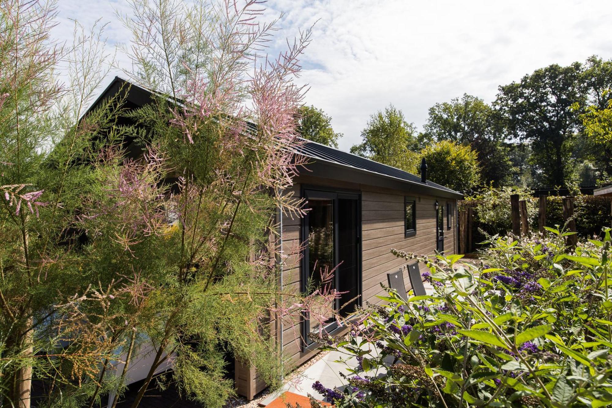 Modern Ingericht Chalet Op Groen Park Op De Veluwe Epe Exteriör bild